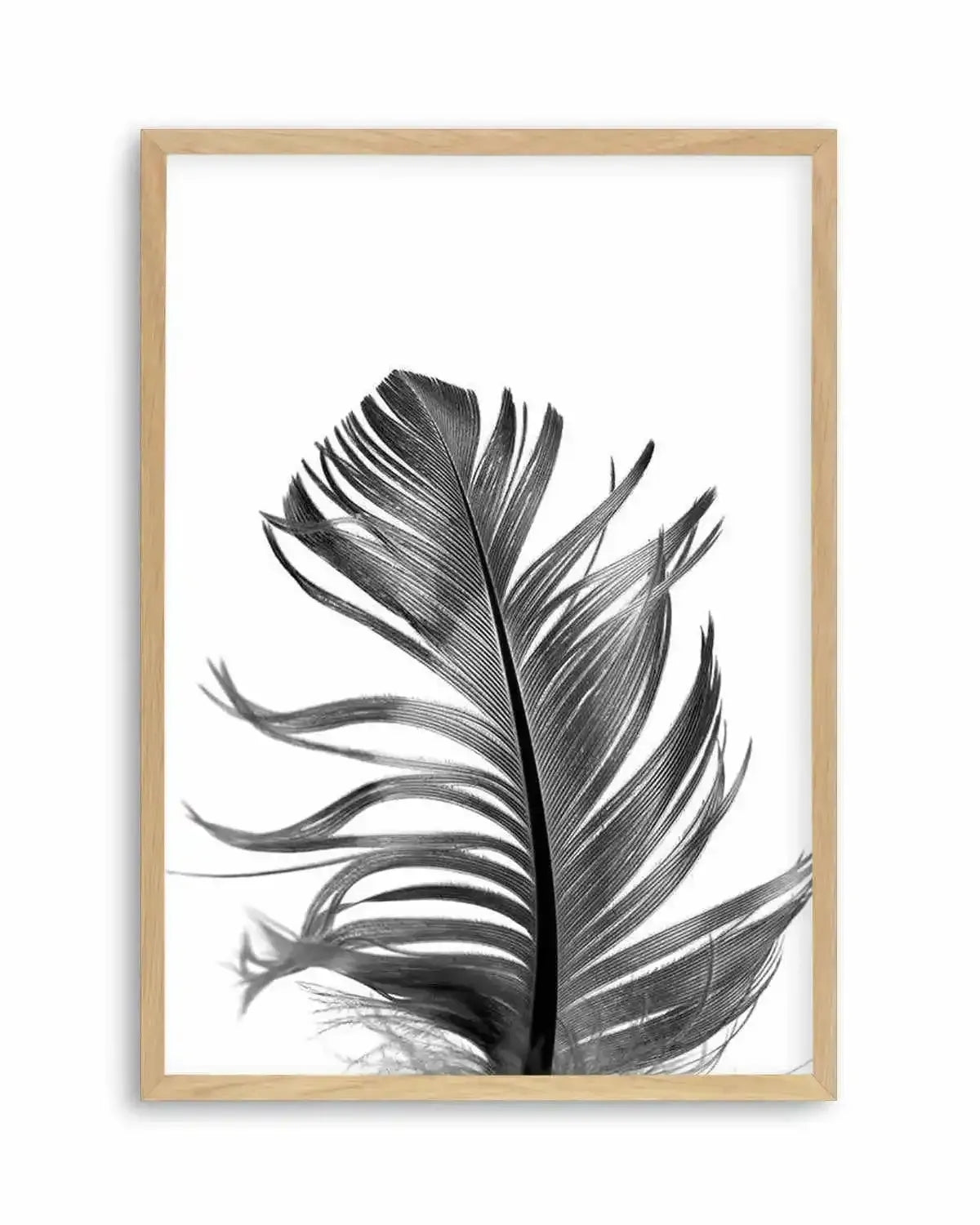 Feather III | Black Art Print from Olive et Oriel where you can shop wallpaper and artworks online