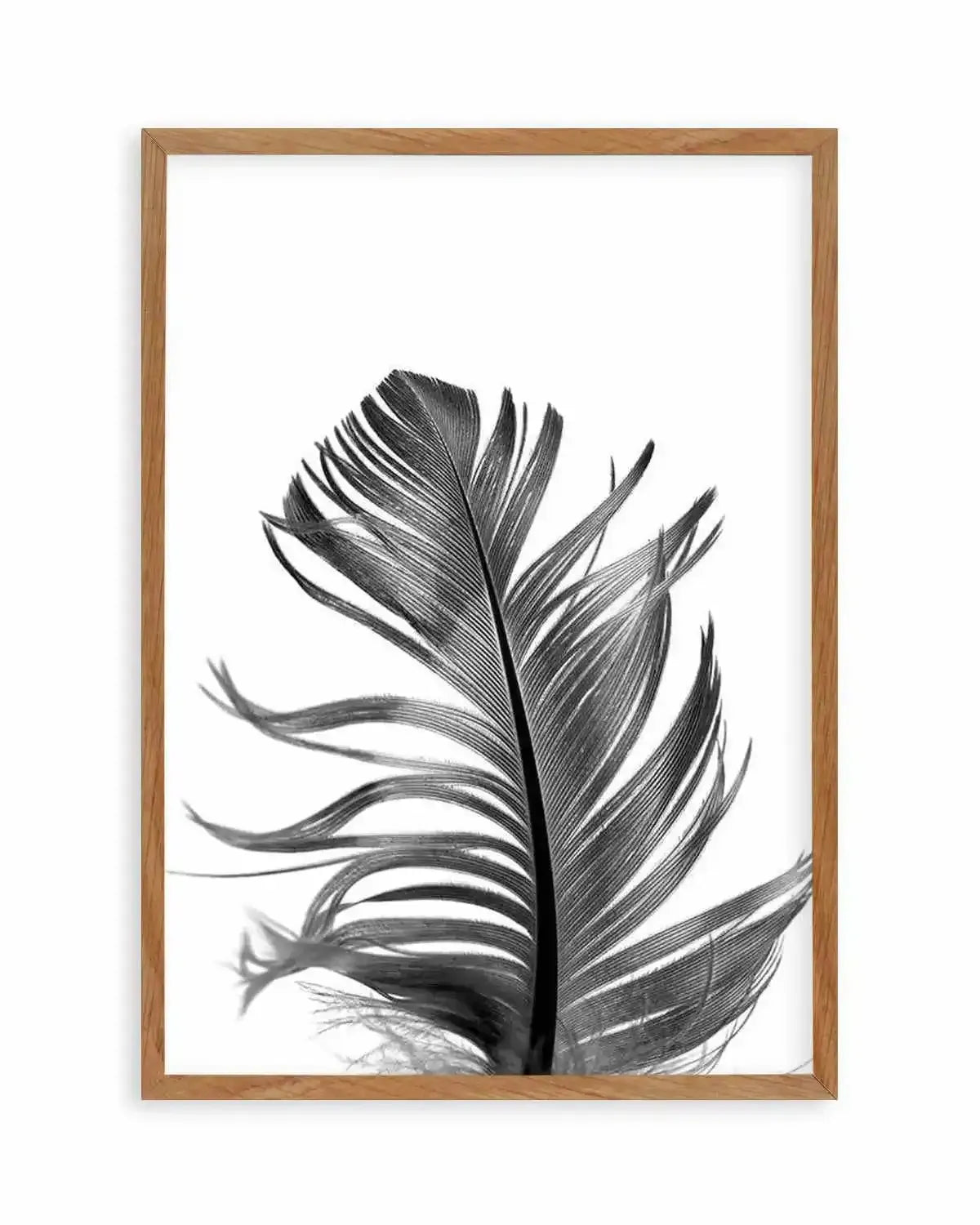 Feather III | Black Art Print from Olive et Oriel where you can shop wallpaper and artworks online
