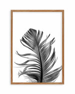 Feather III | Black Art Print