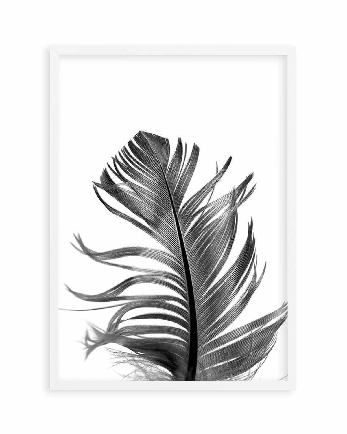 Feather III | Black Art Print