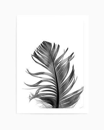 Black and white detailed pencil drawing of a feather with fine linear hatching throughout, showing delicate barbs and a central shaft with subtle shading and texture. The feather is positioned vertically and slightly off-center against a plain white background. The artwork is displayed as a print with a white border on all sides.