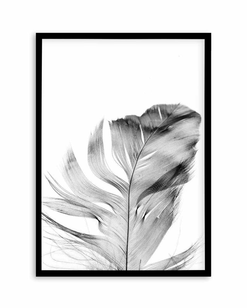 Feather | Grey Art Print