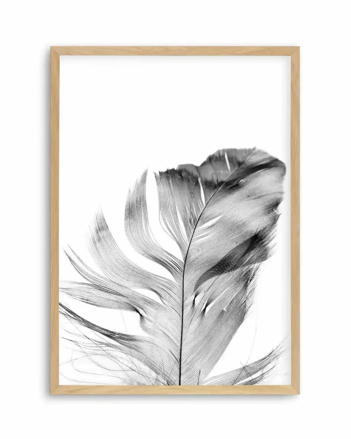 Feather | Grey Art Print from Olive et Oriel where you can shop wallpaper and artworks online