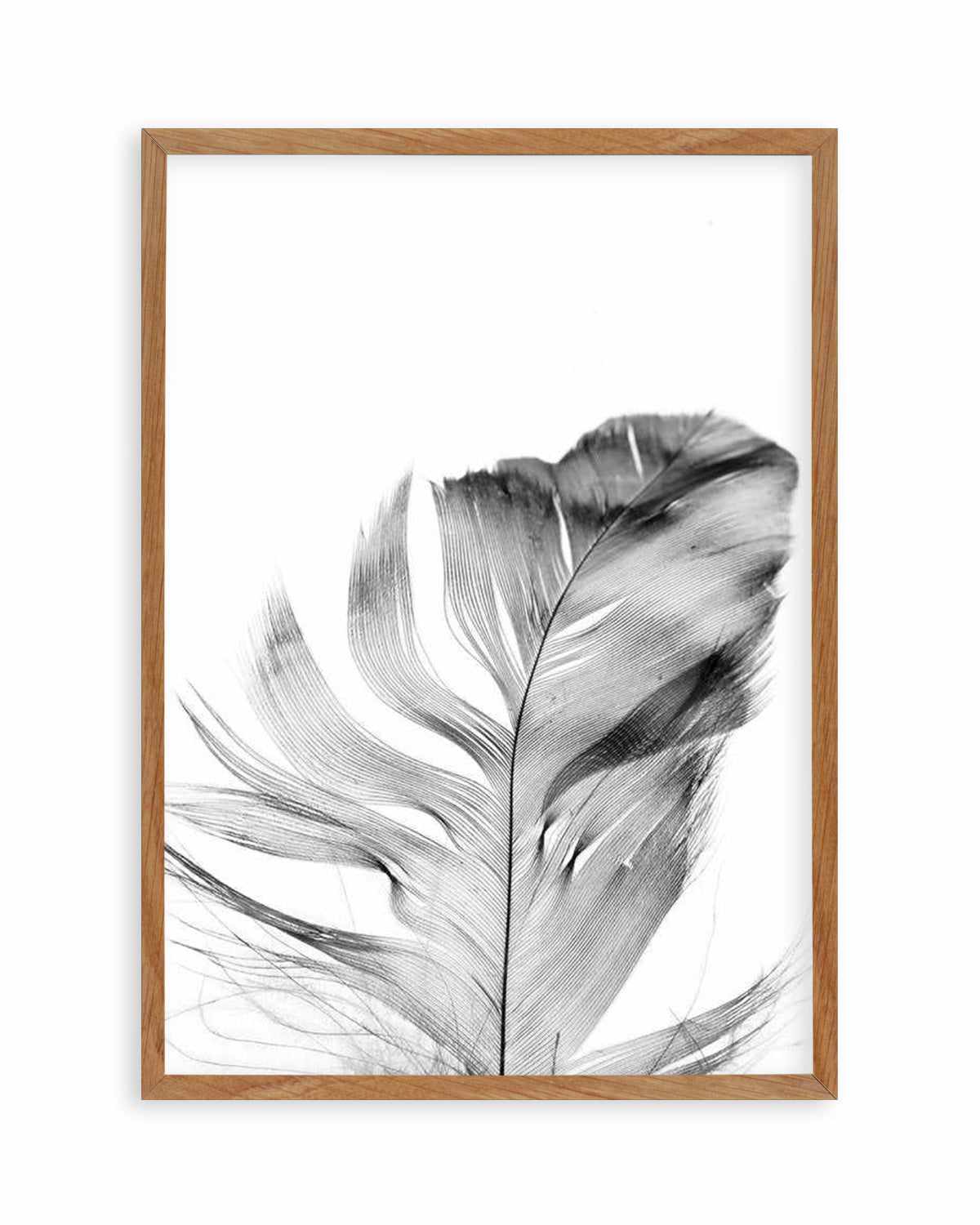 Feather | Grey Art Print