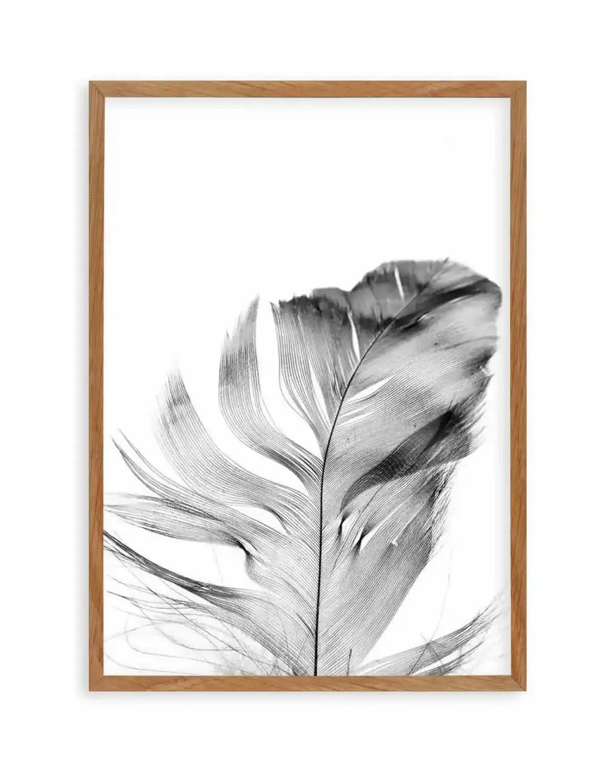 Feather | Grey Art Print from Olive et Oriel where you can shop wallpaper and artworks online