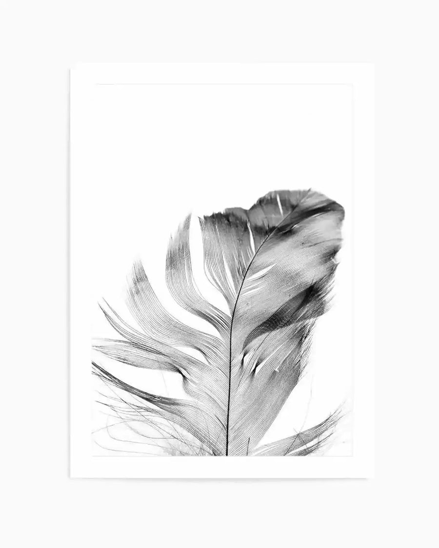 Feather | Grey Art Print from Olive et Oriel where you can shop wallpaper and artworks online
