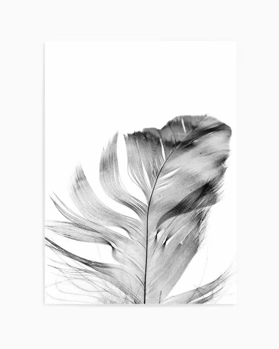 Feather | Grey Art Print from Olive et Oriel where you can shop wallpaper and artworks online