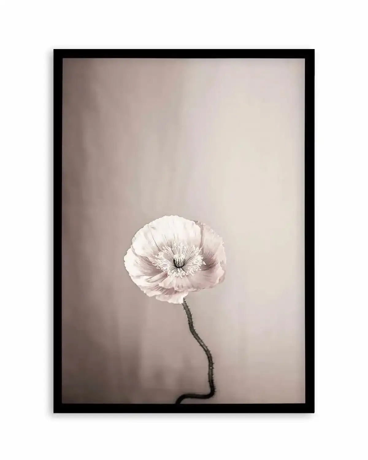 Femme Fleur Art Print from Olive et Oriel where you can shop wallpaper and artworks online