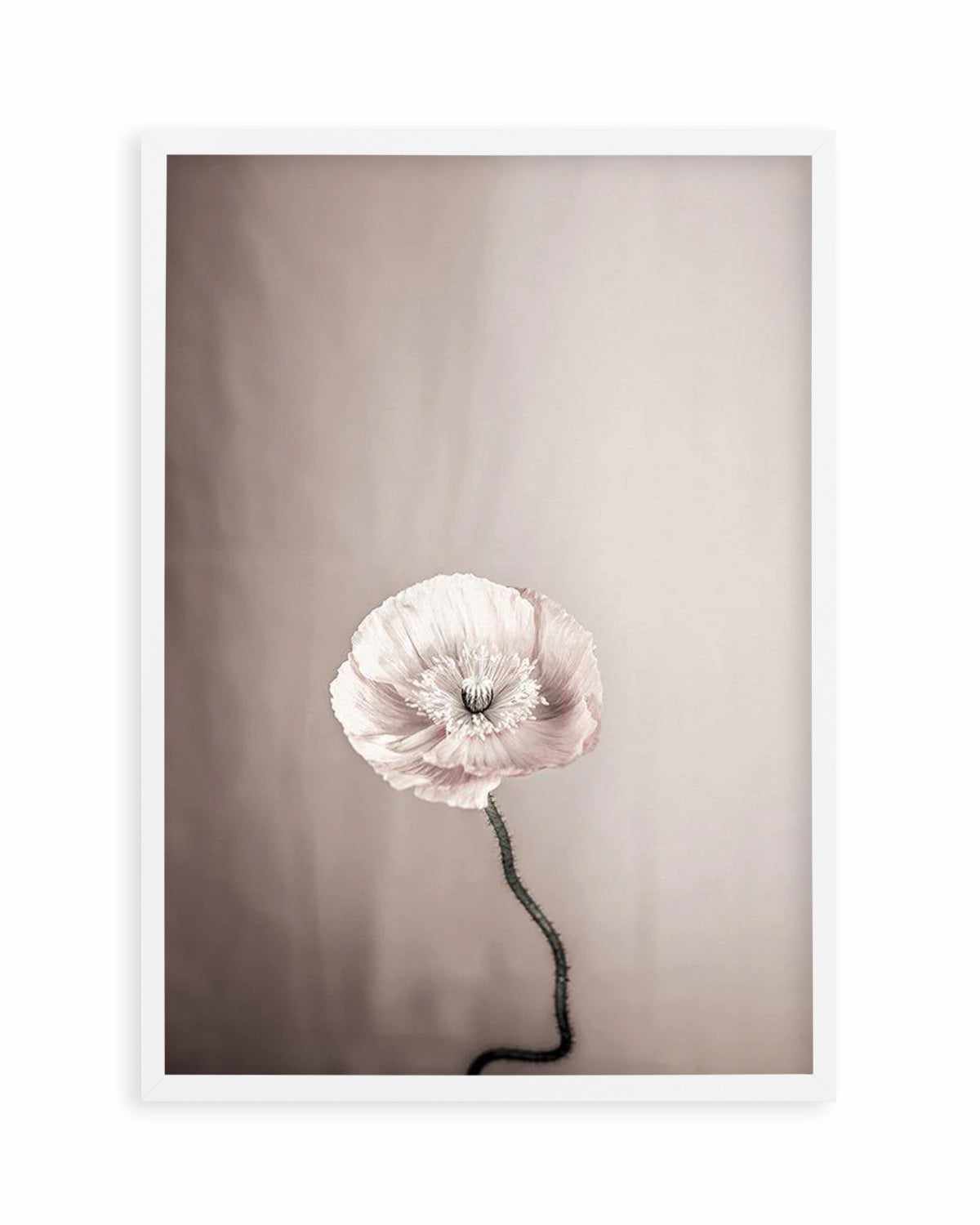 Femme Fleur Art Print