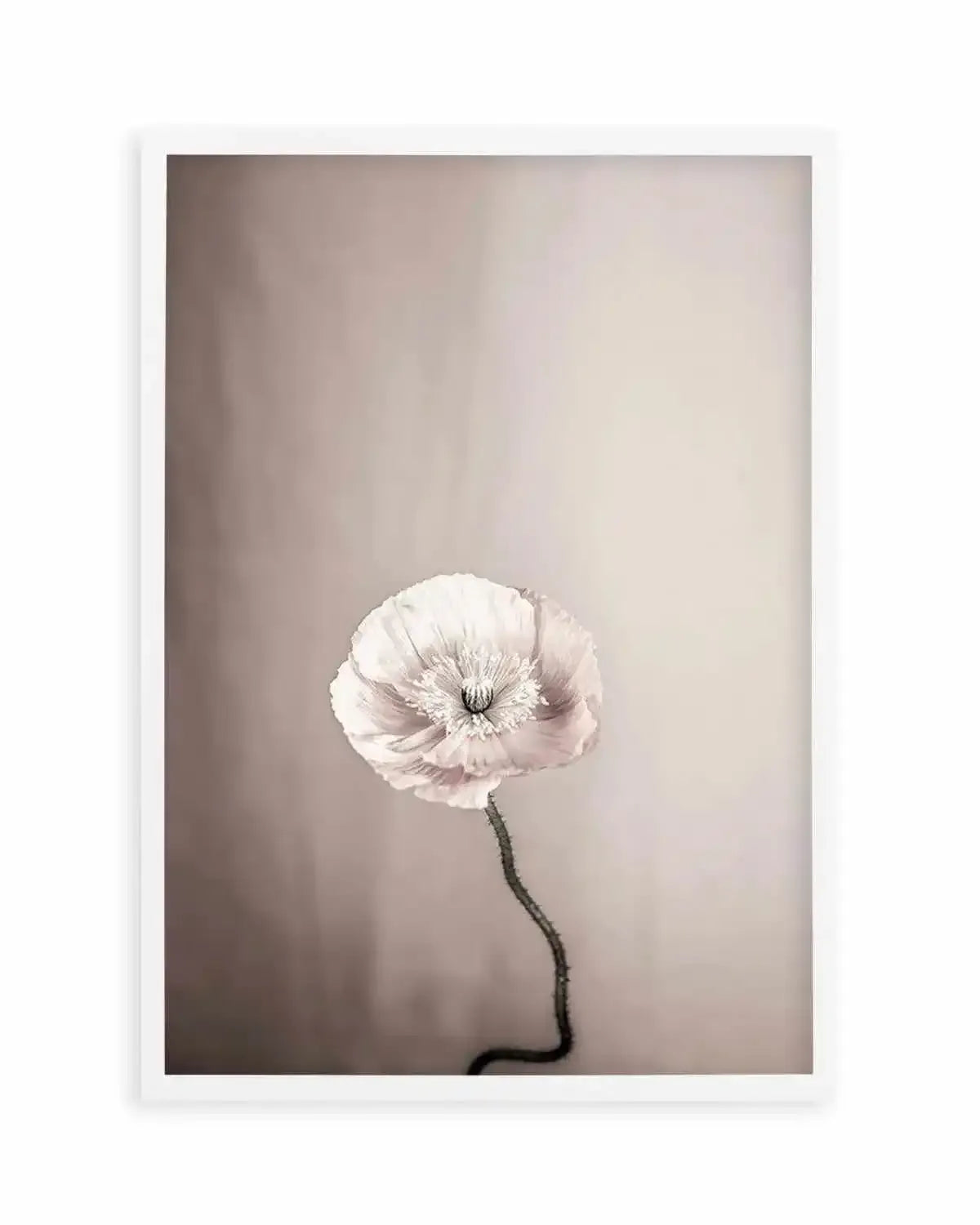Femme Fleur Art Print from Olive et Oriel where you can shop wallpaper and artworks online