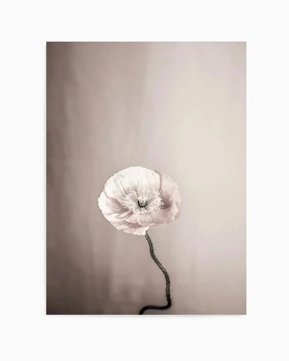 Femme Fleur Art Print from Olive et Oriel where you can shop wallpaper and artworks online