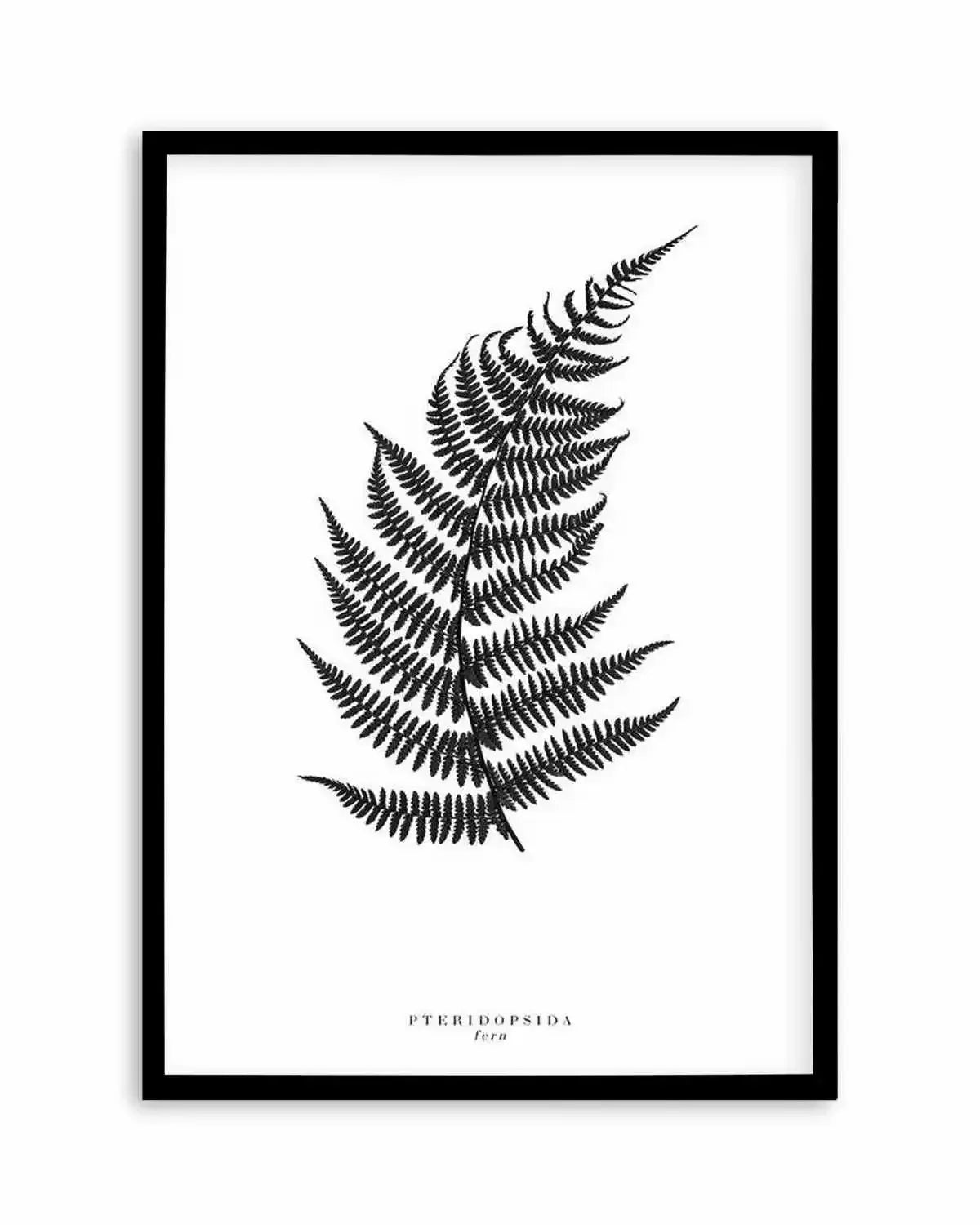 Fern Art Print from Olive et Oriel where you can shop wallpaper and artworks online