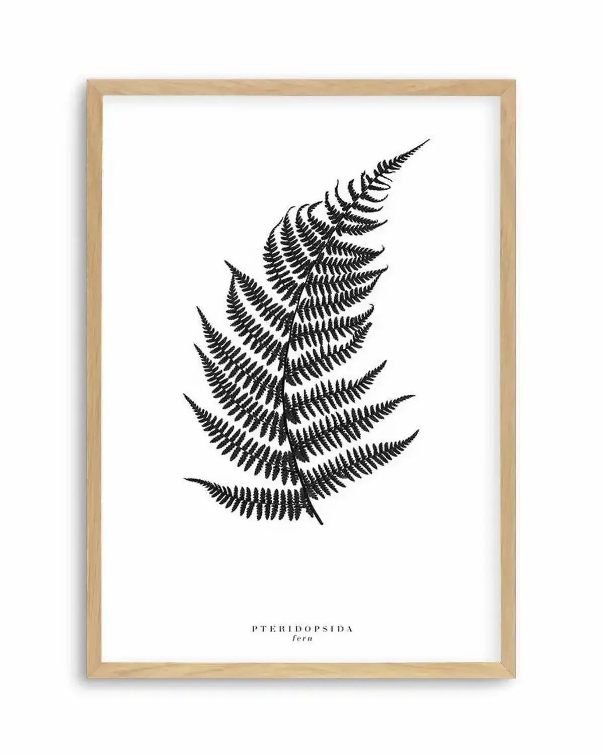Fern Art Print from Olive et Oriel where you can shop wallpaper and artworks online