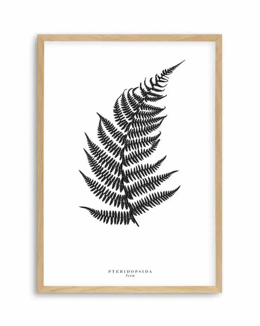 Fern Art Print from Olive et Oriel where you can shop wallpaper and artworks online