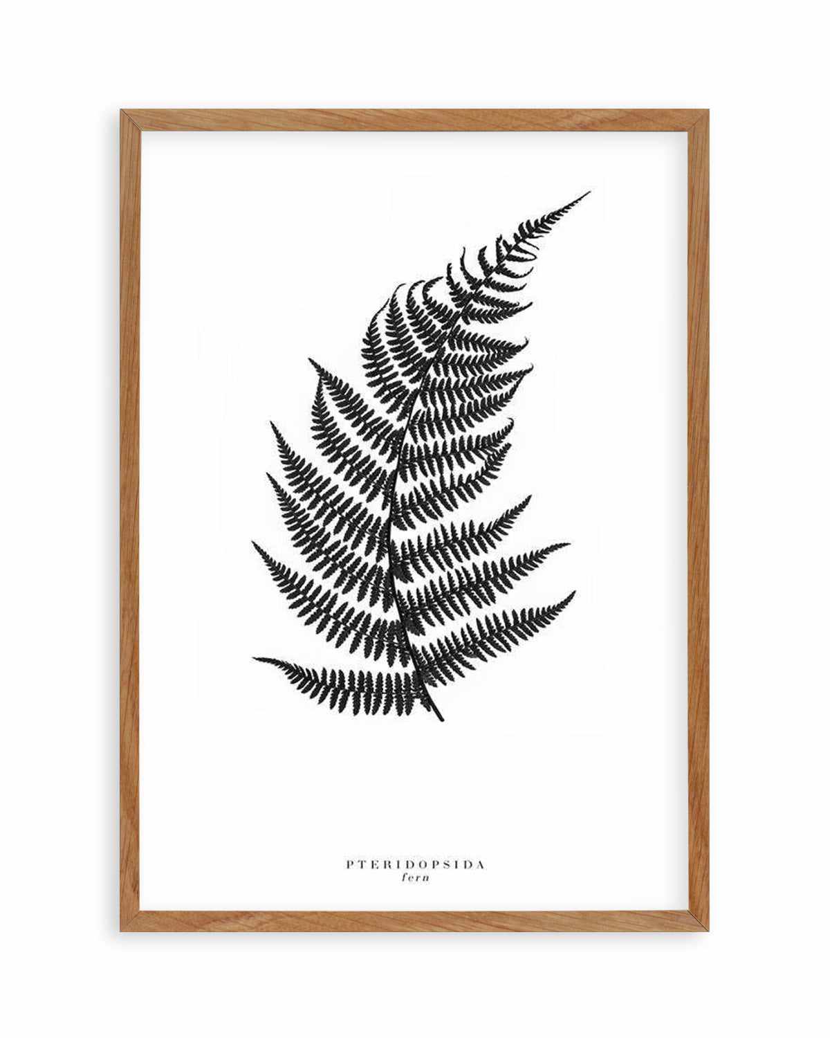 Fern Art Print