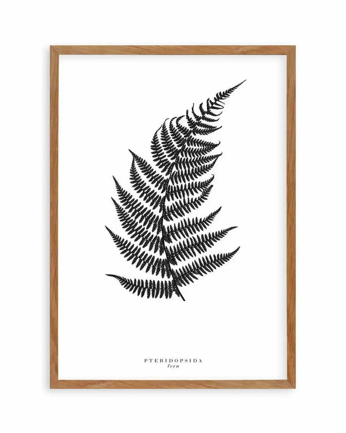 Fern Art Print from Olive et Oriel where you can shop wallpaper and artworks online