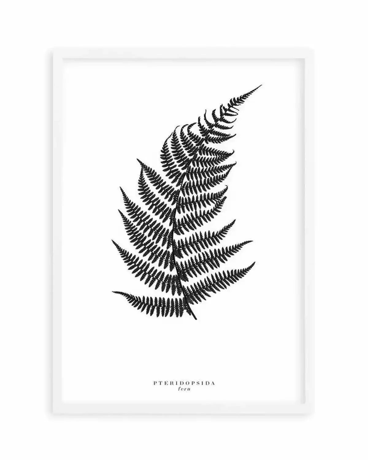 Fern Art Print from Olive et Oriel where you can shop wallpaper and artworks online