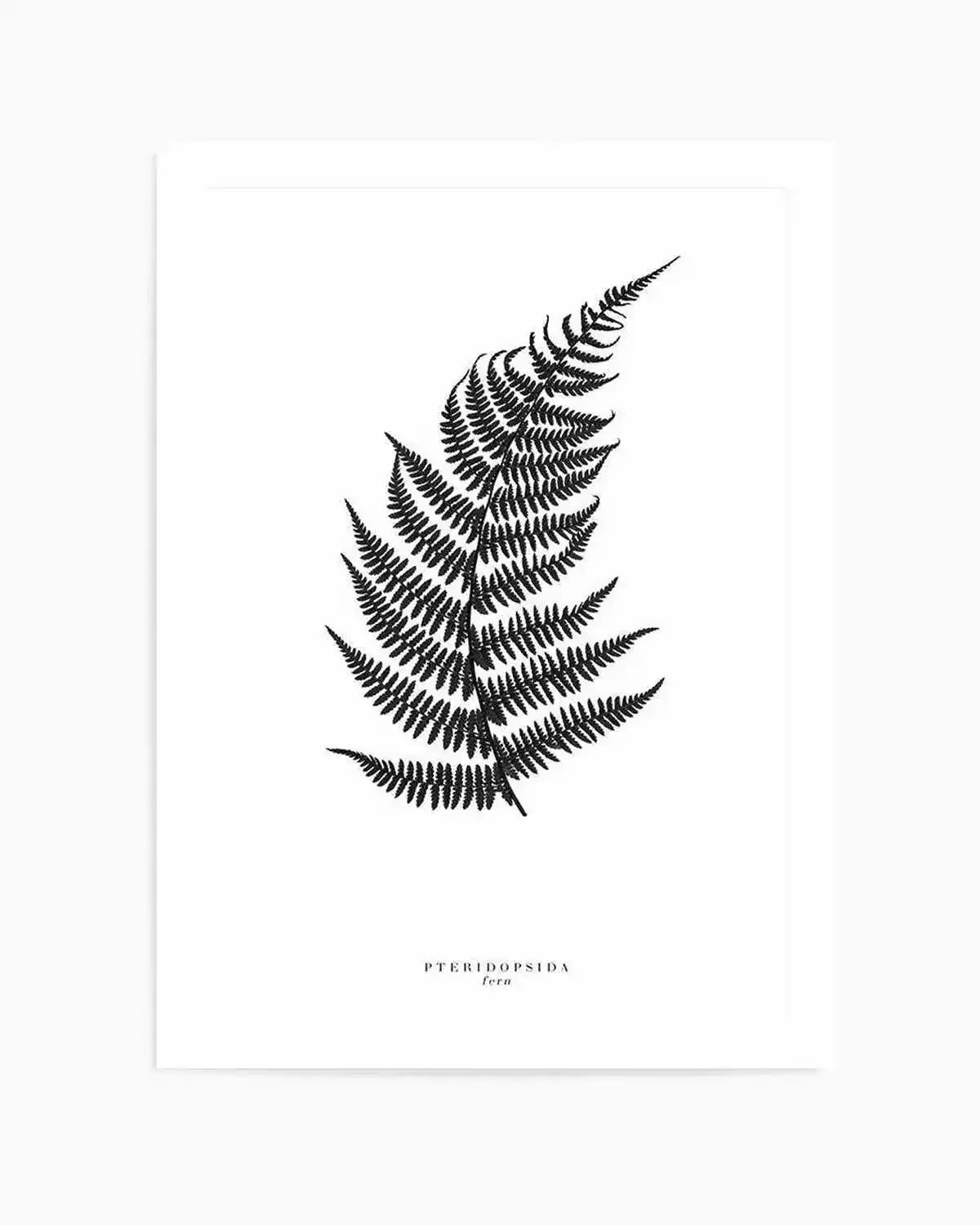 Fern Art Print from Olive et Oriel where you can shop wallpaper and artworks online