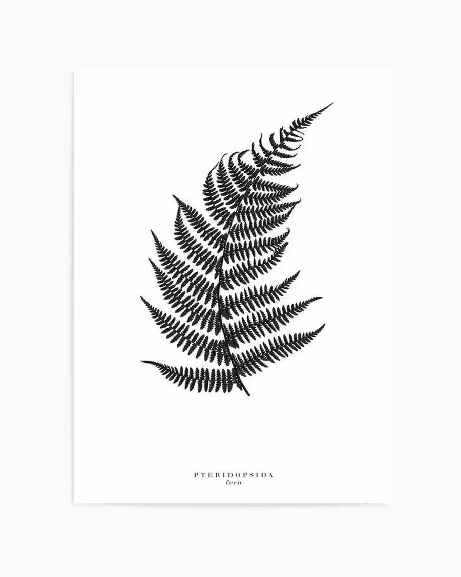 Black and white botanical illustration of a fern frond with multiple layers of delicate, feathery leaflets arranged symmetrically along a central stem. The detailed line work creates intricate patterns within each leaflet. The composition is centered on a white background with "PTERIDOPSIDA" and "Fern" printed in small serif text at the bottom. The artwork has a clean, minimalist aesthetic with high contrast between the black ink and white paper.