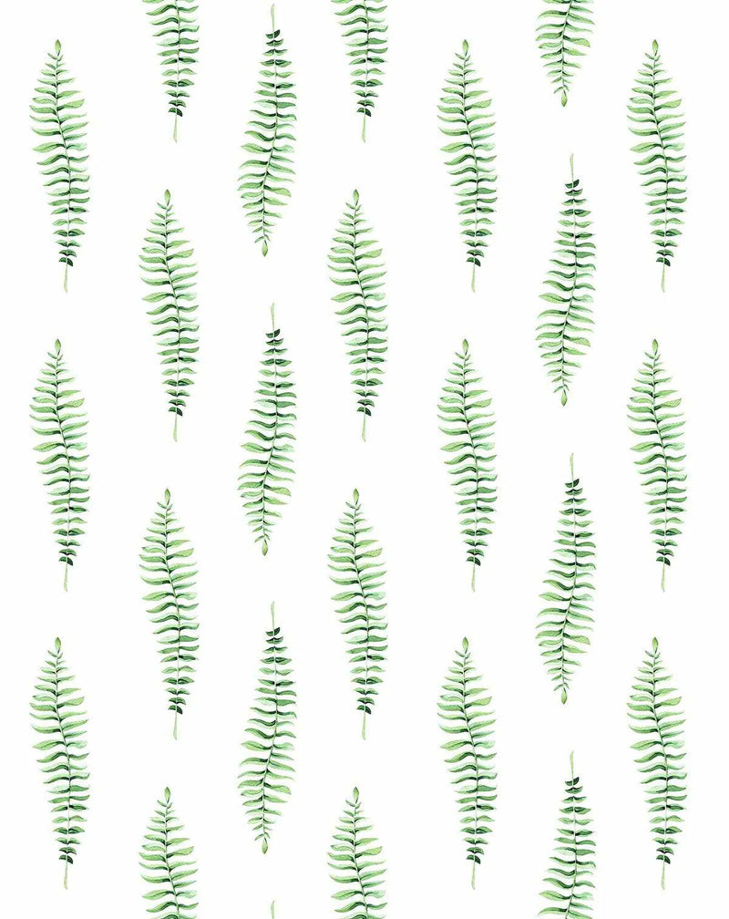 Peel and stick wallpaper featuring a repeating pattern of hand-painted fern fronds in various shades of vibrant green on a clean white background. The botanical design has a loose, organic watercolour quality with visible brushstroke texture.