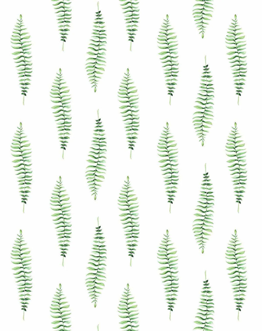 Peel and stick wallpaper featuring a repeating pattern of hand-painted fern fronds in various shades of vibrant green on a clean white background. The botanical design has a loose, organic watercolour quality with visible brushstroke texture.