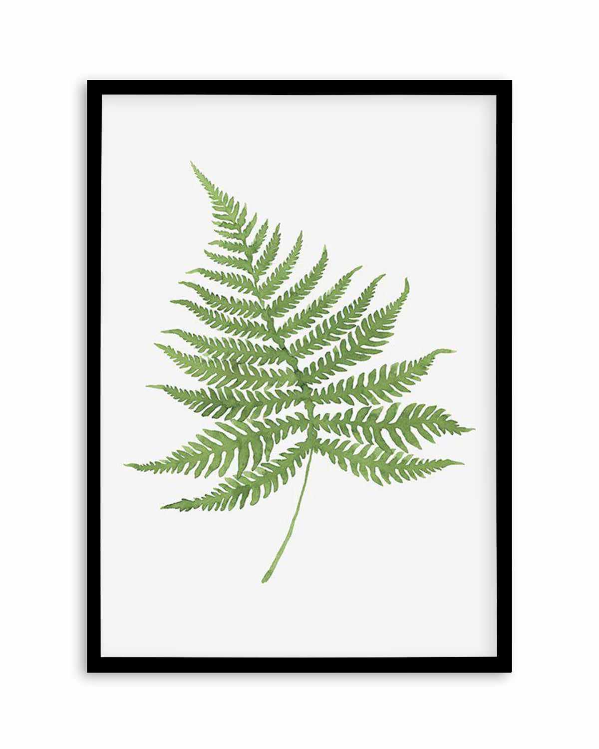 Fern on Grey I Art Print