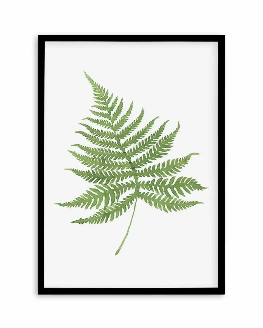 Fern on Grey I Art Print from Olive et Oriel where you can shop wallpaper and artworks online