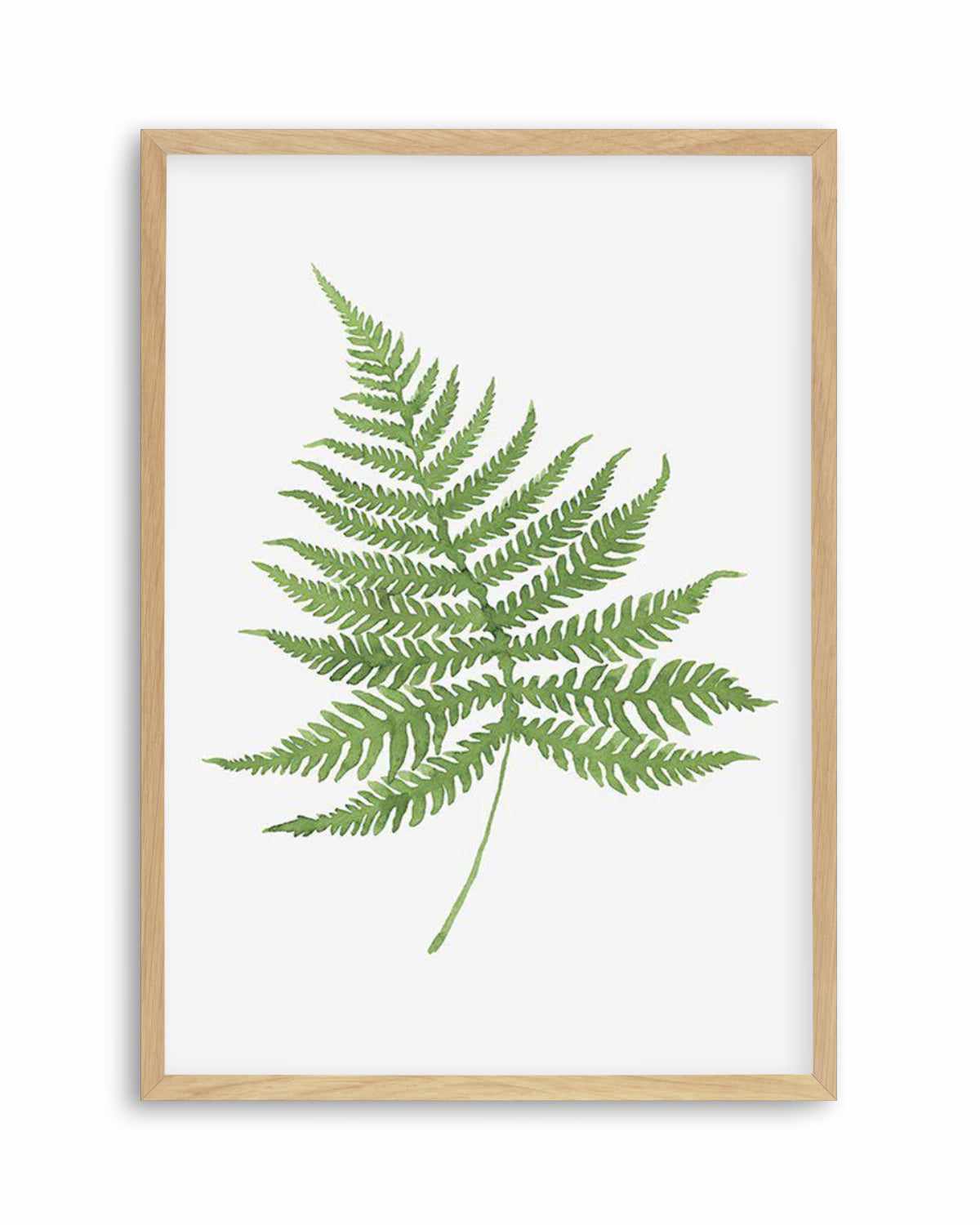 Fern on Grey I Art Print