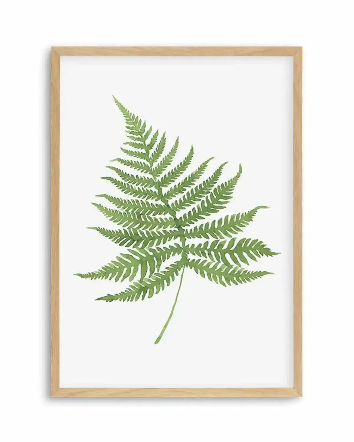 Fern on Grey I Art Print from Olive et Oriel where you can shop wallpaper and artworks online