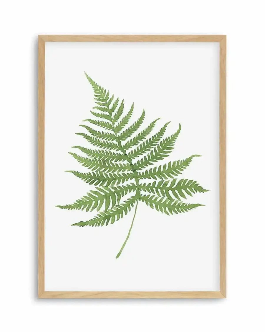 Fern on Grey I Art Print from Olive et Oriel where you can shop wallpaper and artworks online