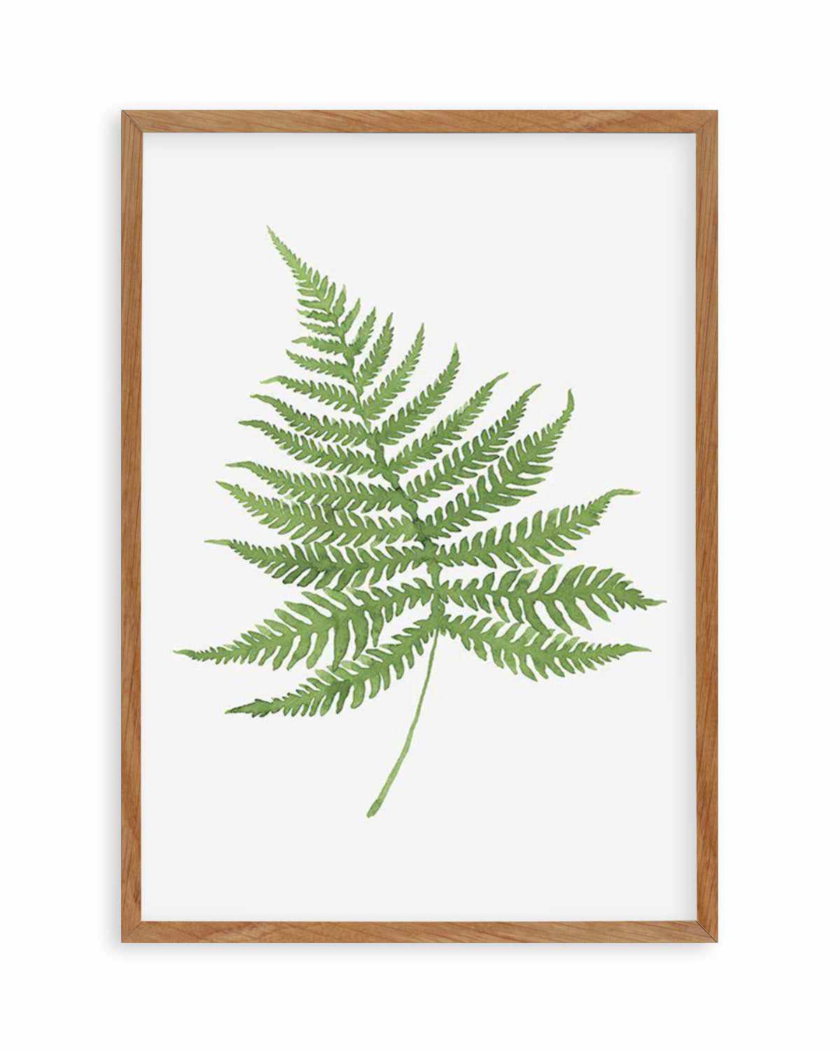 Fern on Grey I Art Print