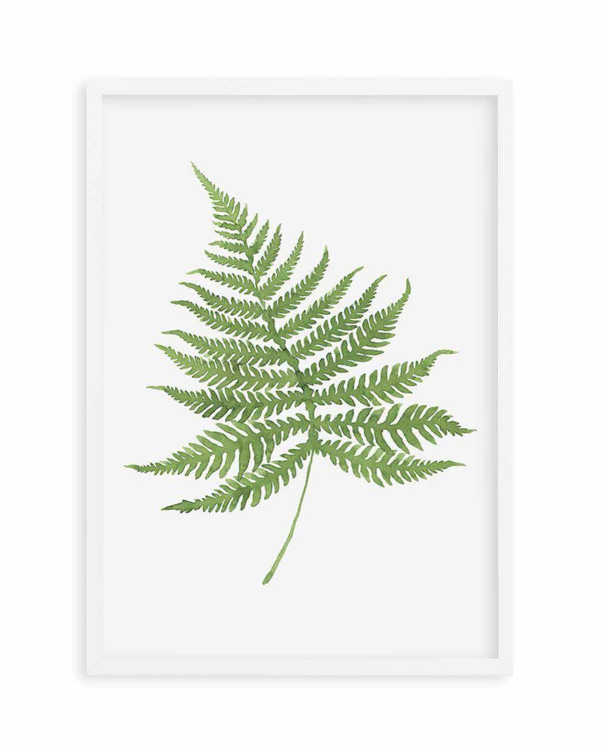 Fern on Grey I Art Print