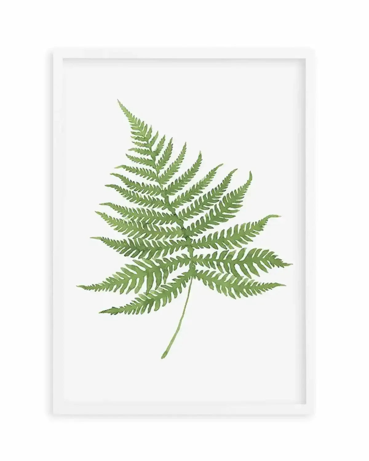 Fern on Grey I Art Print from Olive et Oriel where you can shop wallpaper and artworks online