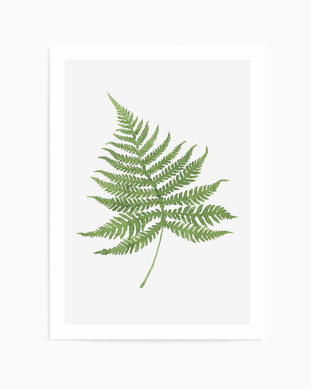 Fern on Grey I Art Print