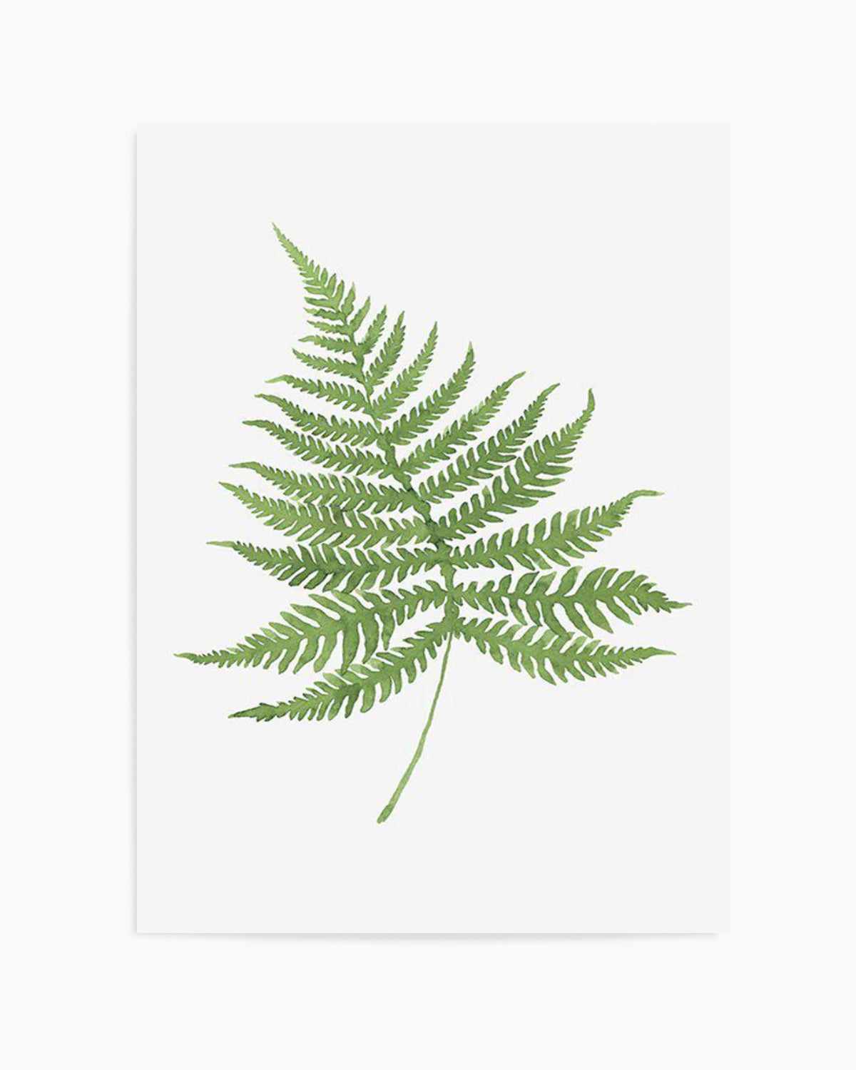 Fern on Grey I Art Print