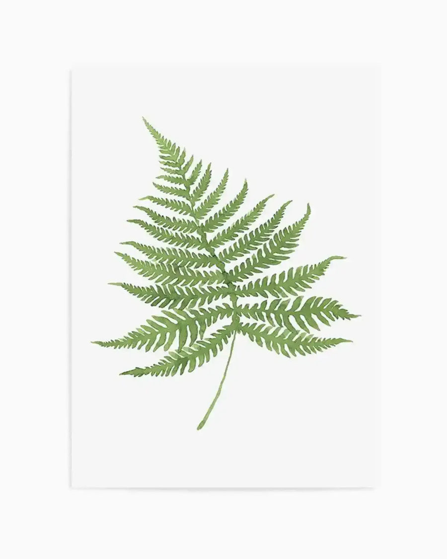 Watercolour art print featuring a single fern frond in various shades of green, with delicate, feathery leaves and a visible stem, set against a clean white background.