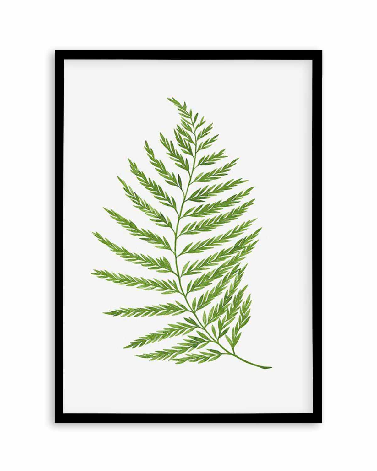 Fern on Grey II Art Print