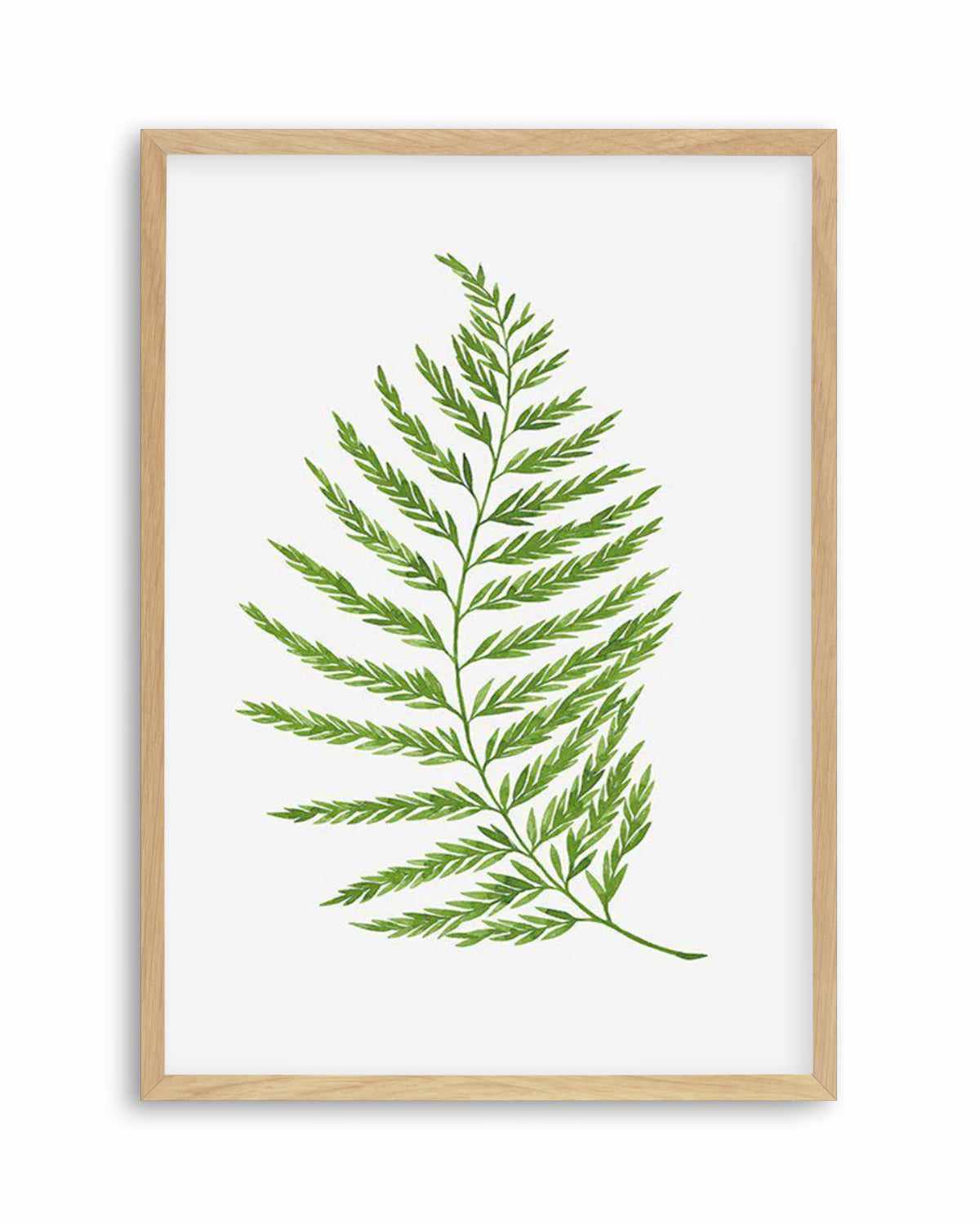 Fern on Grey II Art Print