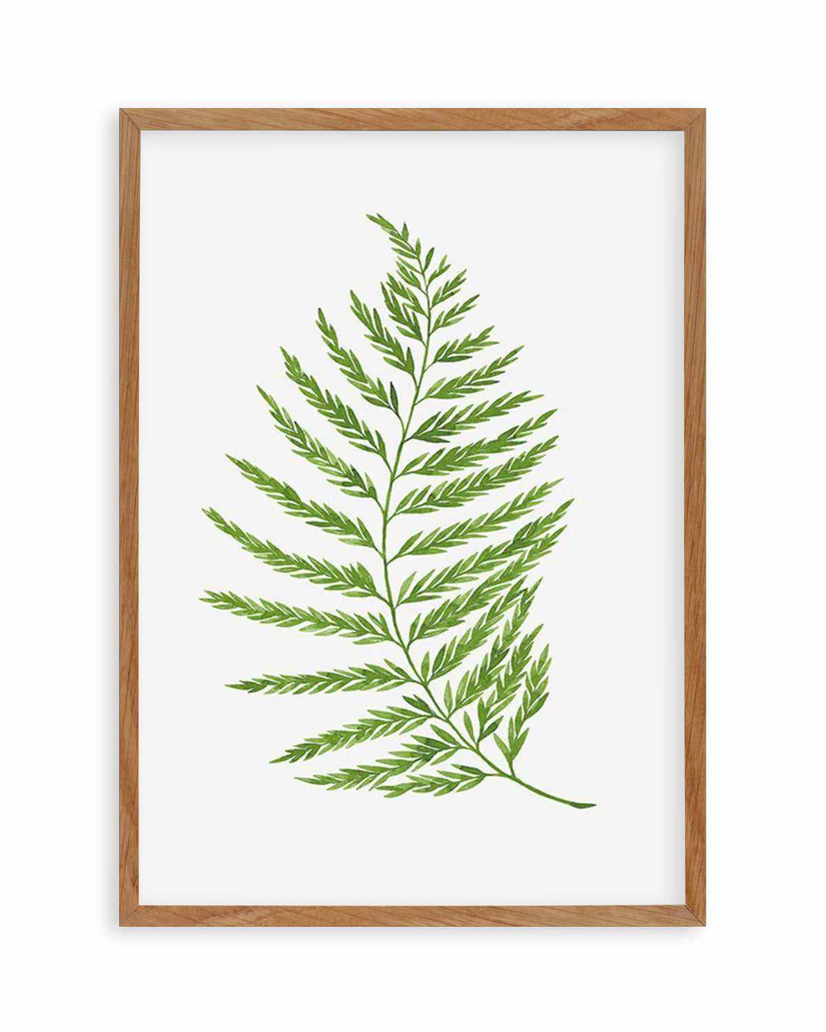 Fern on Grey II Art Print