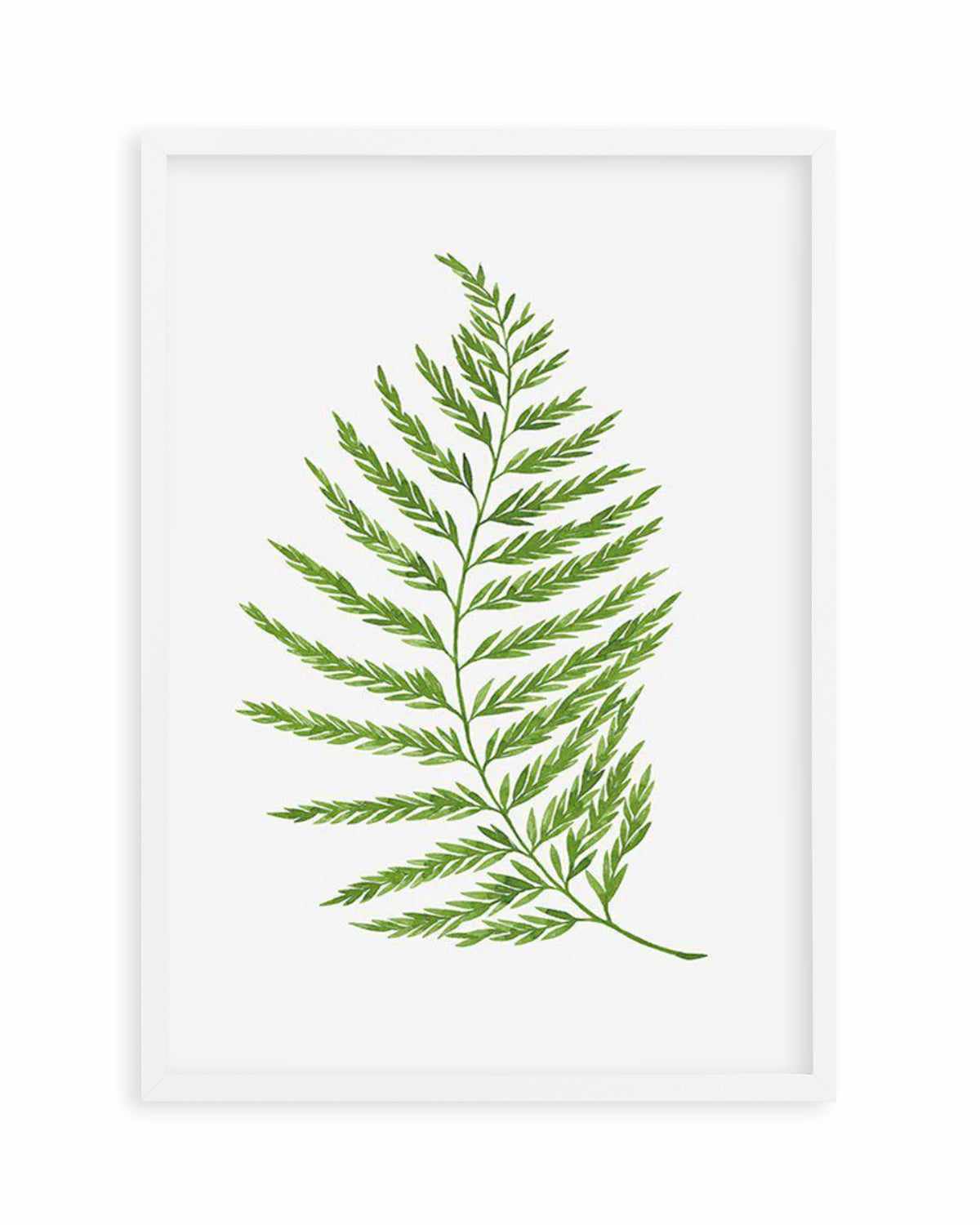 Fern on Grey II Art Print