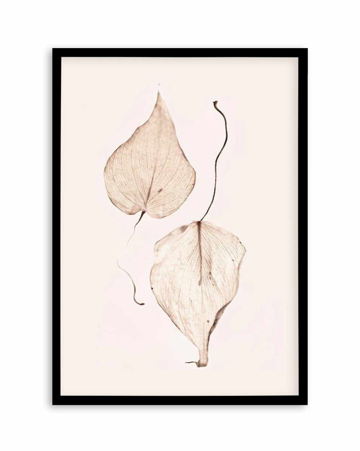 Feuille D'or II Art Print