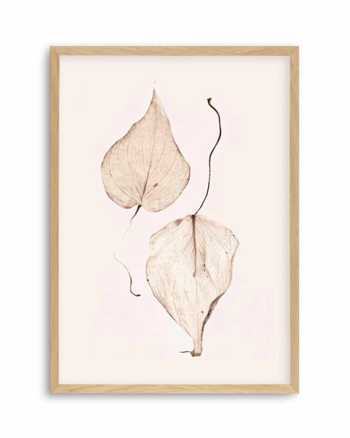 Feuille D'or II Art Print