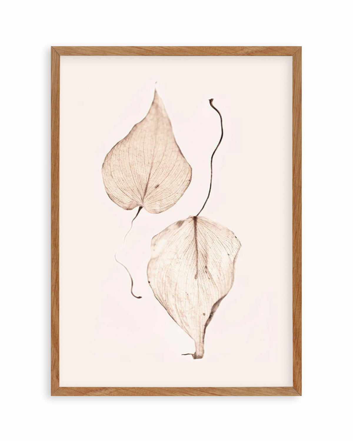 Feuille D'or II Art Print