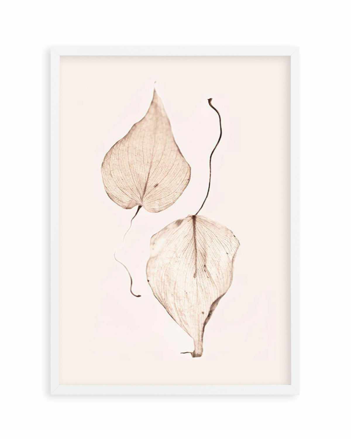 Feuille D'or II Art Print