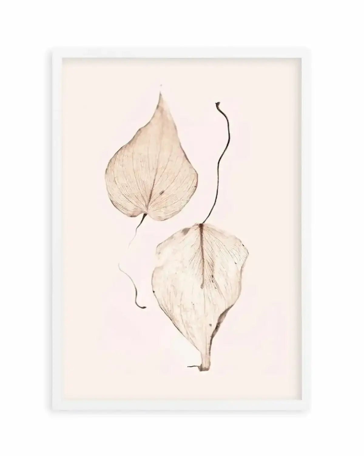 Feuille D'or II Art Print from Olive et Oriel where you can shop wallpaper and artworks online