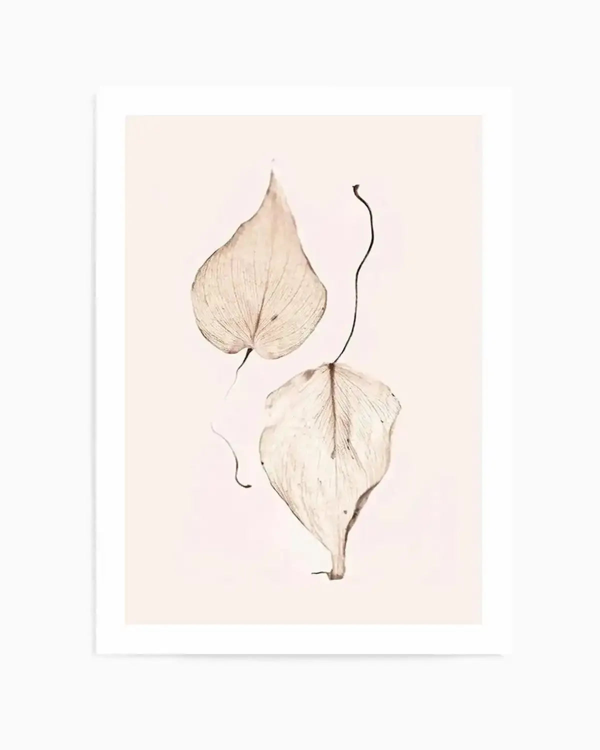 Feuille D'or II Art Print from Olive et Oriel where you can shop wallpaper and artworks online