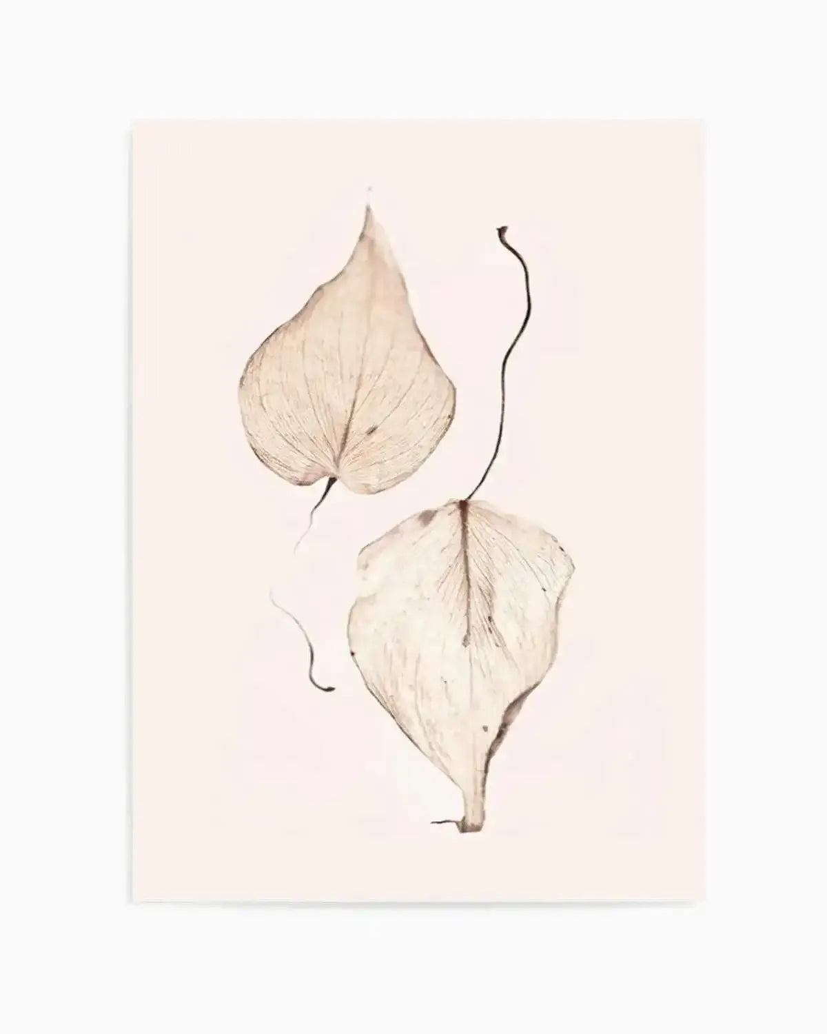 Feuille D'or II Art Print from Olive et Oriel where you can shop wallpaper and artworks online