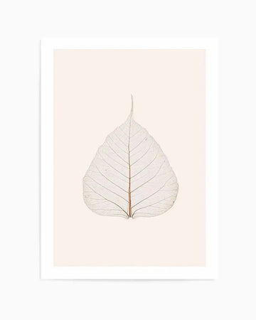 Art print featuring a detailed skeletal leaf in translucent white, revealing a delicate network of veins and a central brown stem, set against a soft cream background, with a white frame and white border.
