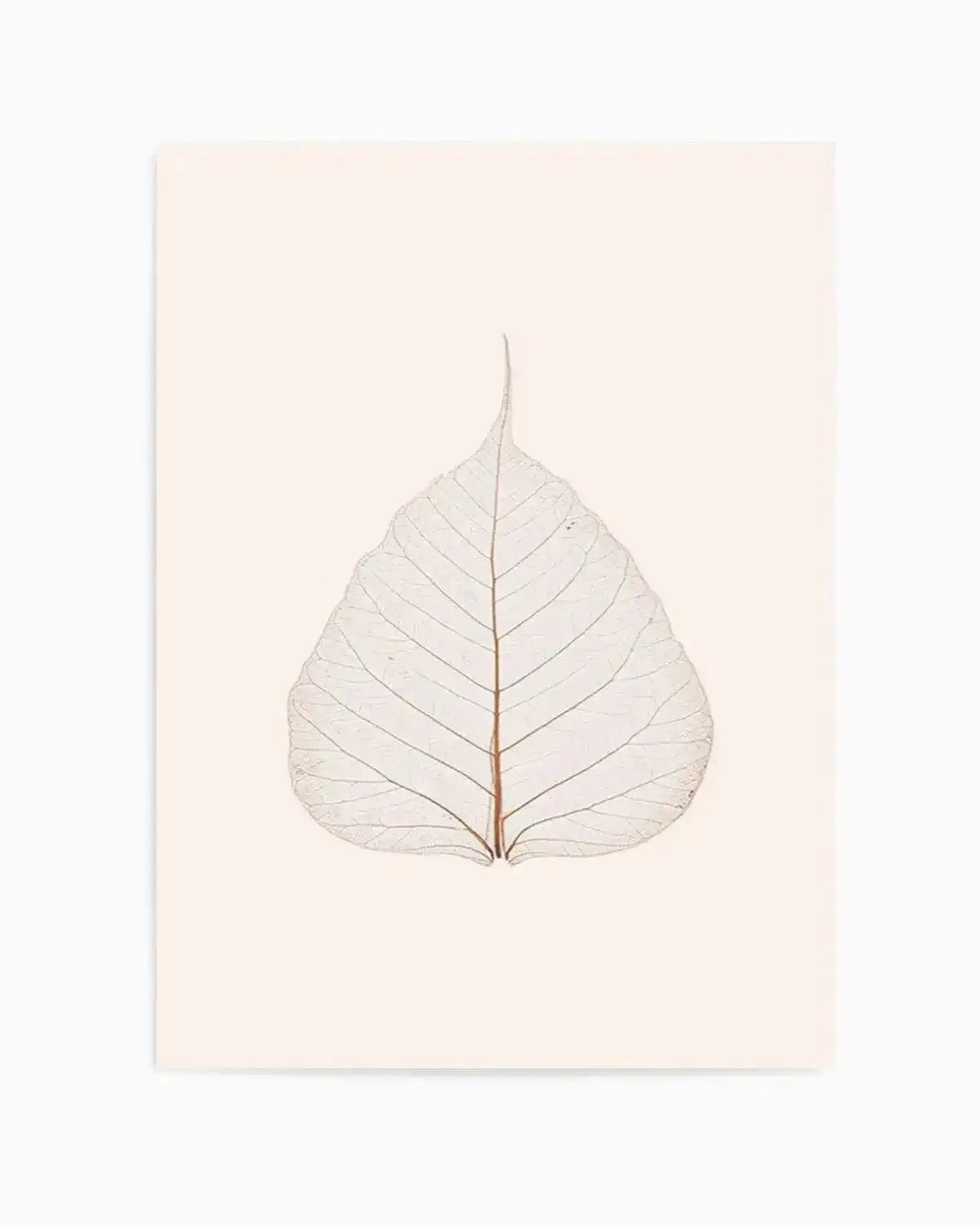 Feuille D'or III Art Print from Olive et Oriel where you can shop wallpaper and artworks online