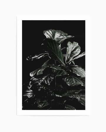 Fiddle Fig Black I Art Print from Olive et Oriel where you can shop wallpaper and artworks online